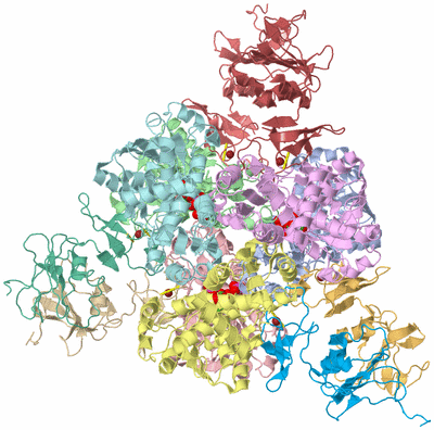 Image Asym./Biol. Unit