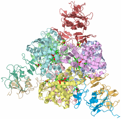 Image Asym./Biol. Unit - sites