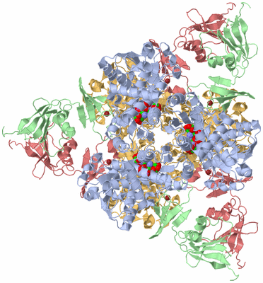 Image Biological Unit 1