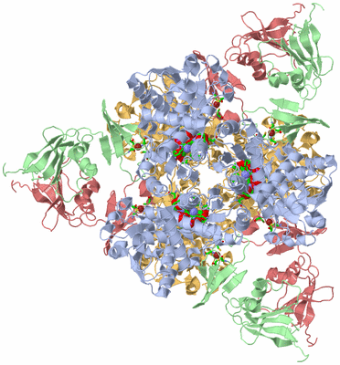 Image Biol. Unit 1 - sites