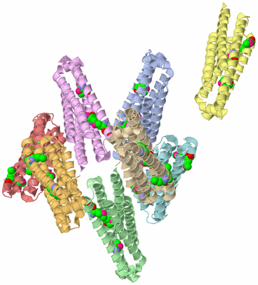 Image Asymmetric Unit