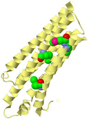 Image Biological Unit 3
