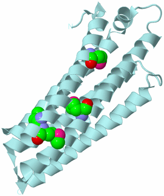 Image Biological Unit 5