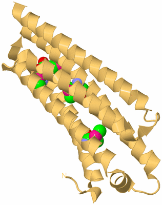 Image Biological Unit 6