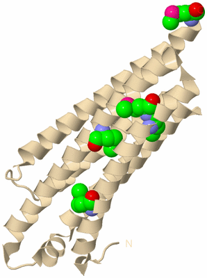 Image Biological Unit 8