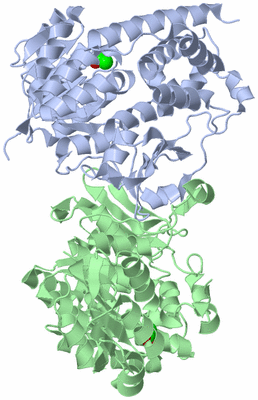 Image Biological Unit 1