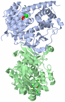 Image Biol. Unit 1 - sites