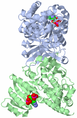 Image Biological Unit 1