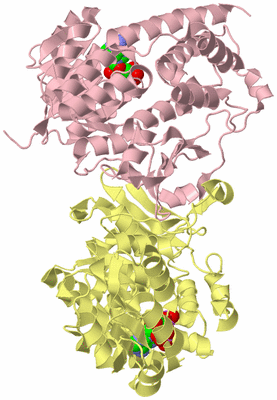 Image Biological Unit 2