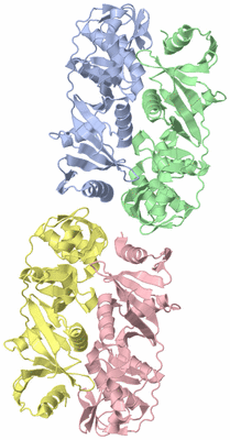 Image Asymmetric Unit