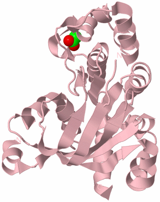 Image Biological Unit 3