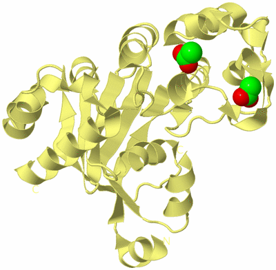 Image Biological Unit 4