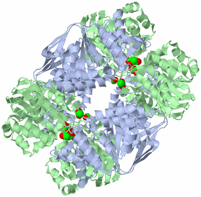 Image Biological Unit 5