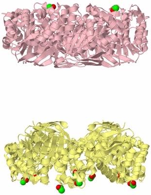 Image Biological Unit 6