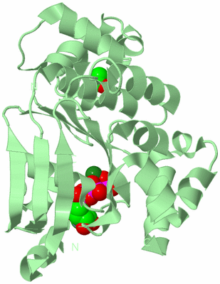 Image Biological Unit 2