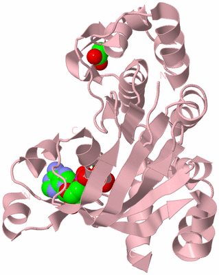 Image Biological Unit 3