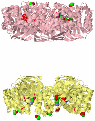 Image Biological Unit 6