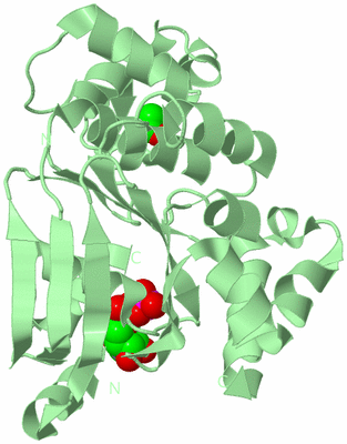 Image Biological Unit 2