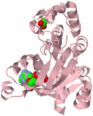 Image Biological Unit 3