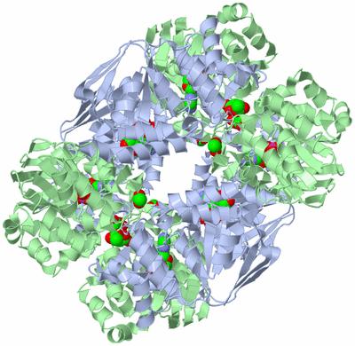 Image Biological Unit 5