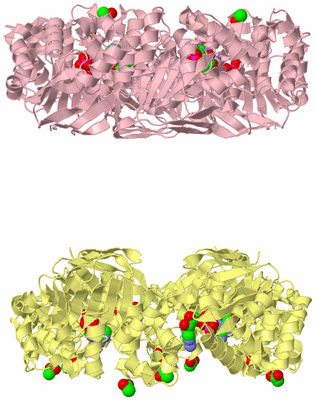 Image Biological Unit 6