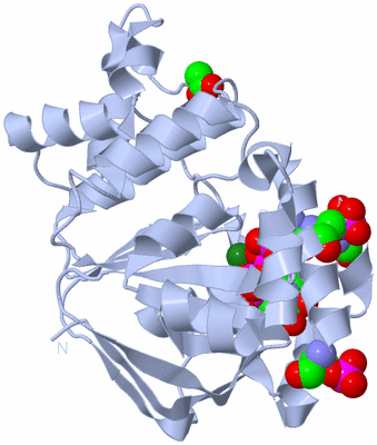 Image Biological Unit 1