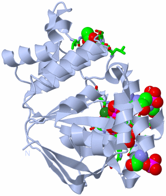 Image Biol. Unit 1 - sites