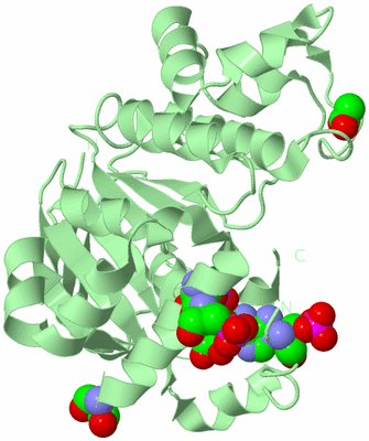 Image Biological Unit 2