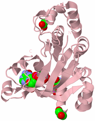 Image Biological Unit 3