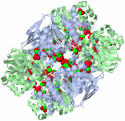 Image Biological Unit 5