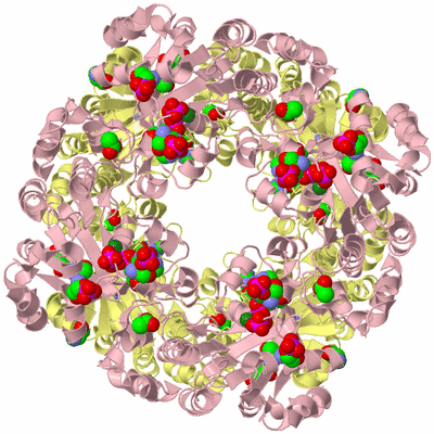 Image Biological Unit 6