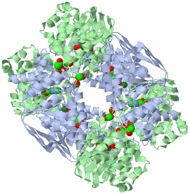 Image Biological Unit 3