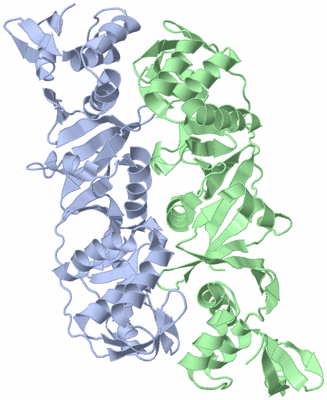 Image Asym./Biol. Unit