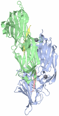 Image Asymmetric Unit