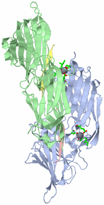 Image Asym. Unit - sites