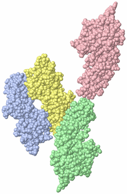 Image Asymmetric Unit