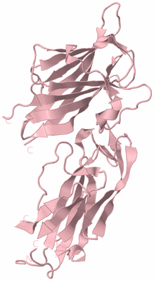 Image Biological Unit 3