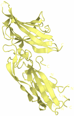 Image Biological Unit 4