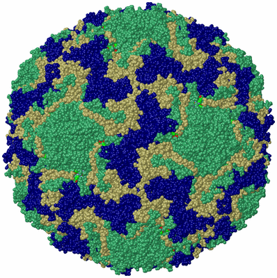 Image Biol. Unit 1 - sites