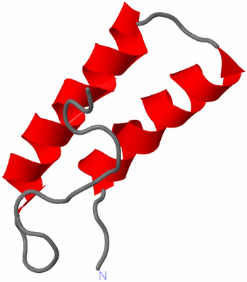 Image NMR Structure - model 1