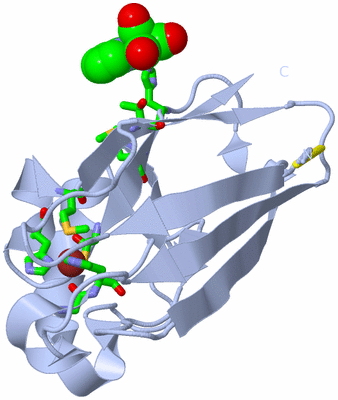 Image Biol. Unit 1 - sites