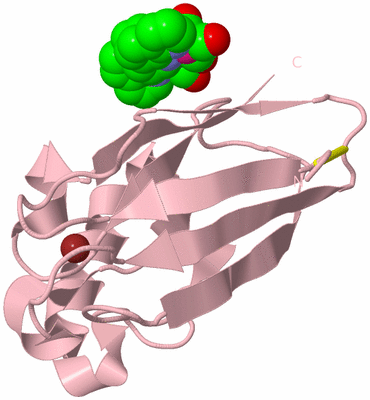 Image Biological Unit 3