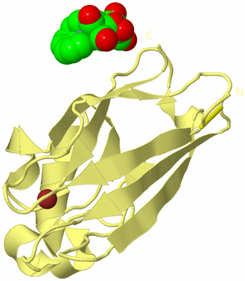 Image Biological Unit 4