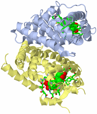 Image Biol. Unit 1 - sites