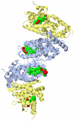 Image Biological Unit 2