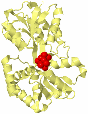 Image Biological Unit 4