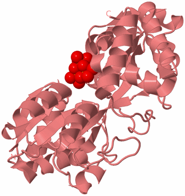 Image Biological Unit 8