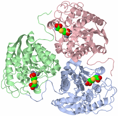 Image Asym./Biol. Unit