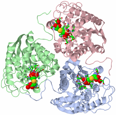 Image Asym./Biol. Unit - sites