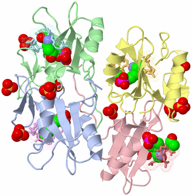 Image Biological Unit 5